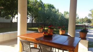 Guesthouse Neven Paklenica - Starigrad-Paklenica - 0
