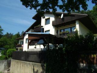 Penzion Lida - Srbsko - 3