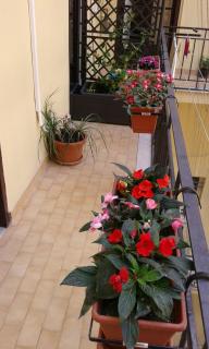 Domus Cicerone - Formia - 8