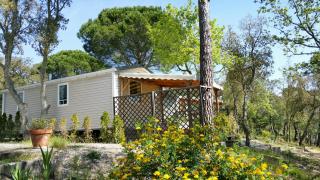 Camping de Parpaillon - Roquebrune-sur Argens - 1