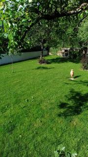 Appartamenti De Sanctis - 1