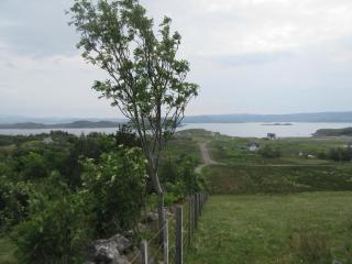 Taighali Apartment - Aultbea - 4