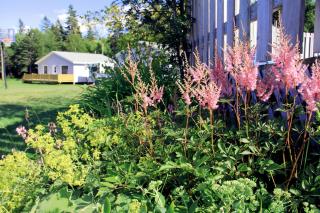 Hidden Acres Cottages - 1