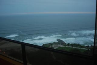 Black Shark Apartments - 7