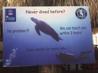 Gili Beach - Gili Meno - 6