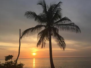 Blue Reef - San Andrés - 1