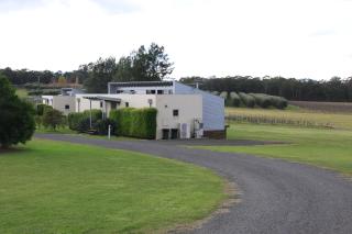 Adina Vineyard - Lovedale - 9