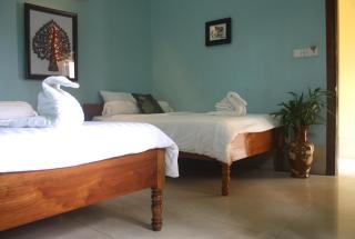 The Magic Sponge - Kampot - 8