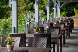 Zum Rebhang Bed & Breakfast - Oestrich-Winkel - 5