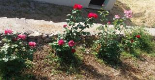 Lu Rotu - Sant Antonio Di Gallura - 9