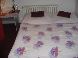 Penzion Zavodsky - 1