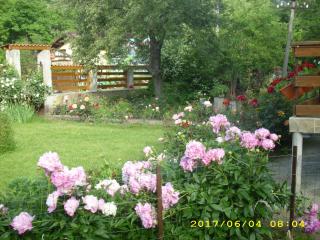 Villa Ribarica - 2