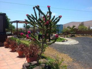 Casa Rural SoleaRio - La Oliva - 0