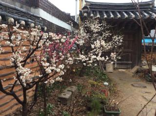 Yangsajae - Jeonju - 1