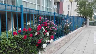 Sun City Apartments - Sunny Beach - 2