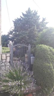 Apartman Karlo - 4