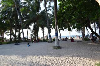Blue Reef - San Andrés - 2