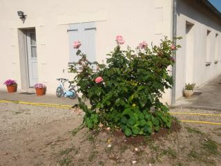La Tuilerie - Noyers-sur-Cher - 9
