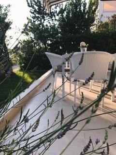Apartment Puntica - Petrcane - 7