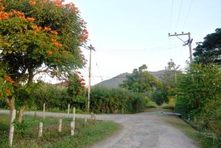 Jamjuree Garden - Ban Thung Ma Nieo - 3