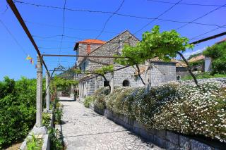 Apartment & Rooms Savonari - Orašac - 9
