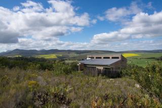 Phillipskop Mountain Reserve - 5