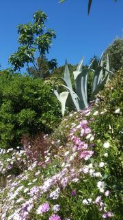 Villa Le Clos Fleuri - 7