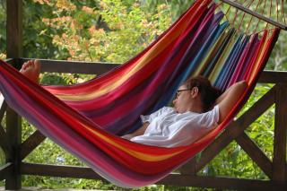 Forres Park Nature Retreat - 4