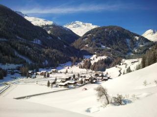 Ledererhof Apartments - 3