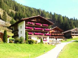 Ledererhof Apartments - Sankt Jakob in Defereggen - 0