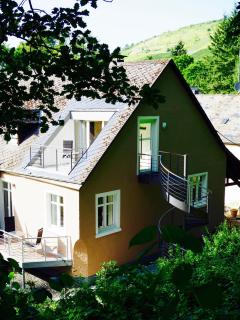 Scherfsmühle am Mühlbach - Waldrach - 1