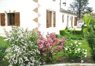 La Halte de Segondignac - Saint-Germain-dʼEsteuil - 8