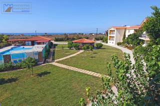 Monachus Monachus - 5