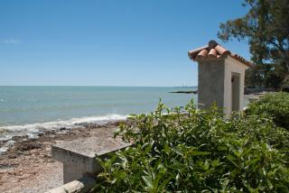 Sargantana Blava - Sant Carles de la Ràpita - 5
