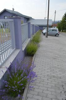 Pansion Antonio - Slavonski Brod - 7