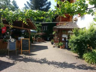 Landgasthof Linkenmühle - Hornbach - 0