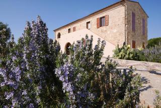 Poggio di Sole - Lacona - 6