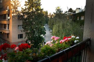 Apartment Classic Deco - 2