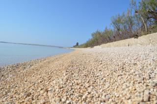 Apartments Smokvica I - 7