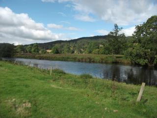 Bryn Cottage - Llandderfel - 6