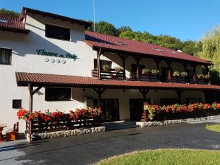 Pensiunea Floare De Colt - 9