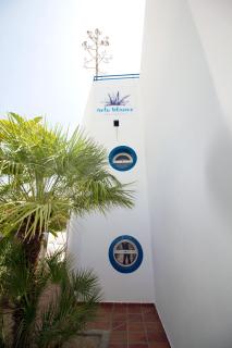 Arto Blanco - Agua Amarga - 0