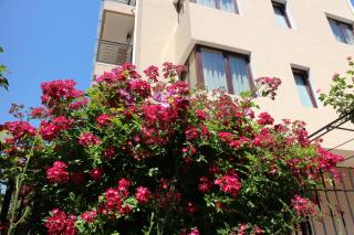 Flowers Apartments - Nesebar - 4