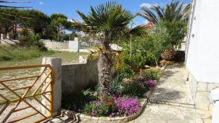 Apartments Lora - Vir - 7