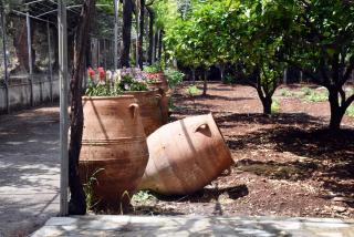 Terre Cretoise - Fourní - 6