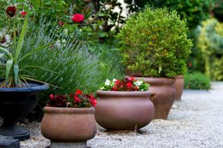 Albergo Giardino - Balatongyörök - 6