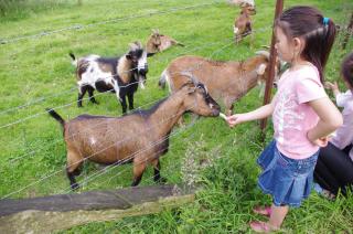 Camping Le Val de Trie - 5