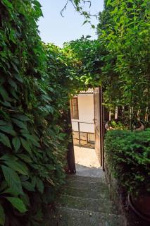 Hostel Pashov - Veliko Tŭrnovo - 4
