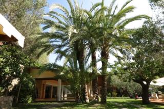 Villaggio Garden Park - Marina di Camerota - 0