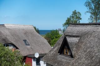 Haus Hafenecke - Freest - 2